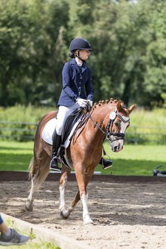 Bild 571 - Pony Akademie Turnier